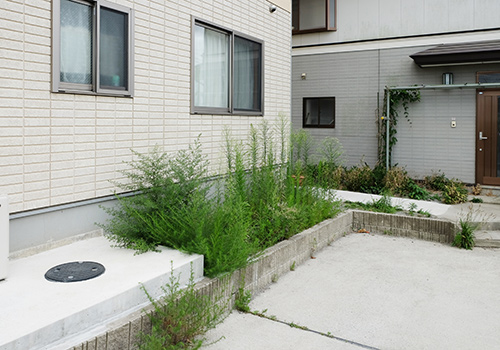 お庭や空き地、駐車場などの草刈り・草むしり